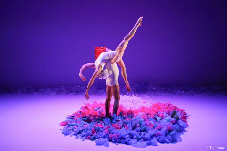 Sensibilisation écologique à travers l’art : « Cendrillon. Ballet recyclable »