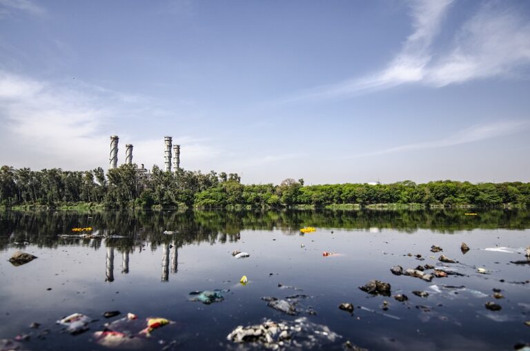 Pollution aux perfluorés : des militants mènent une action chez Arkema dans le Rhône