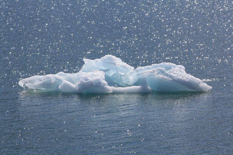Antarctique : fonte historique de la banquise liée au réchauffement climatique