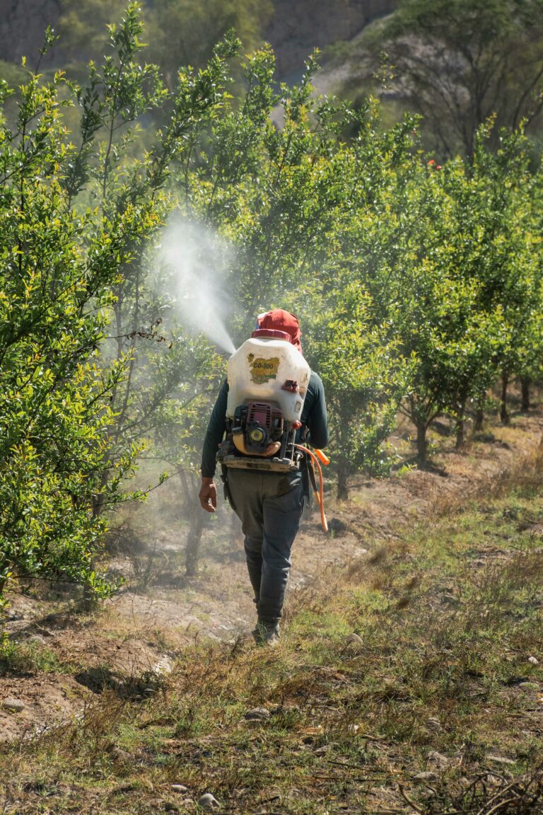 Pesticides : une consommation mondiale en hausse.